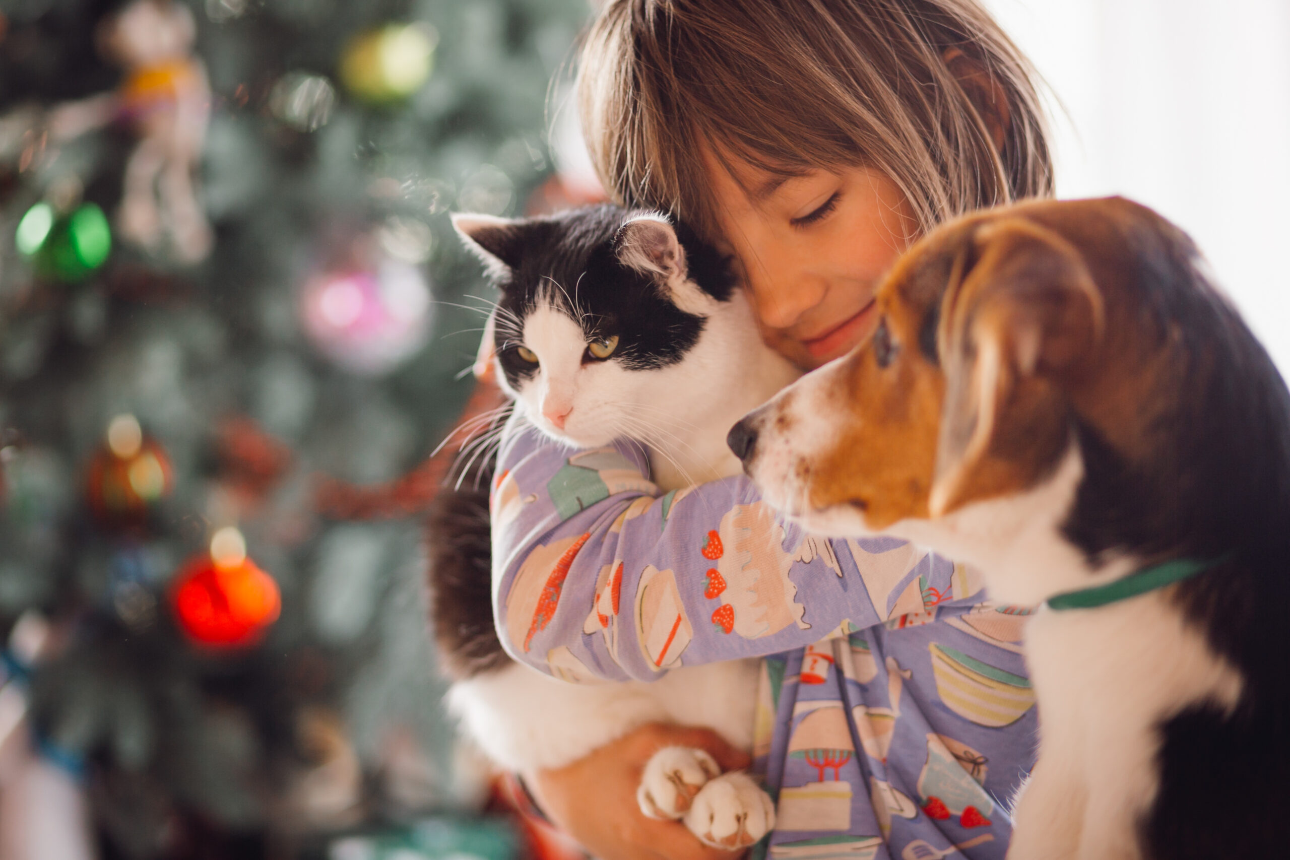 Dia Mundial dos Animais: data celebra saúde e bem-estar dos bichinhos