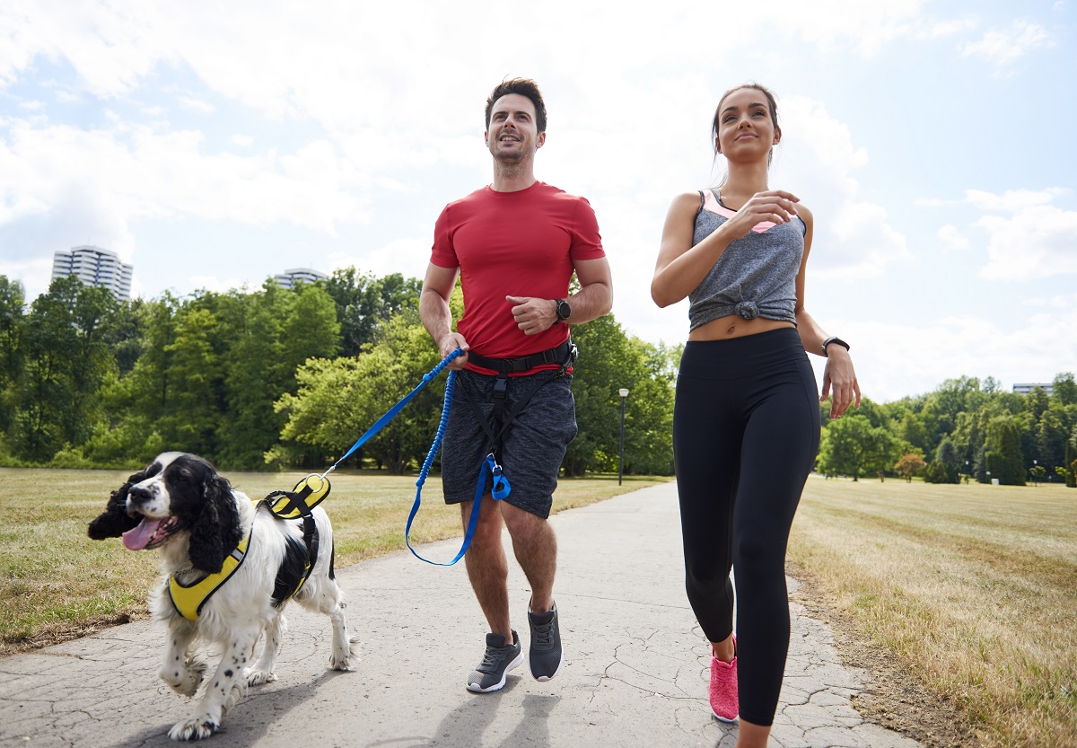 Pet e corrida: saiba mais sobre essa combinação!